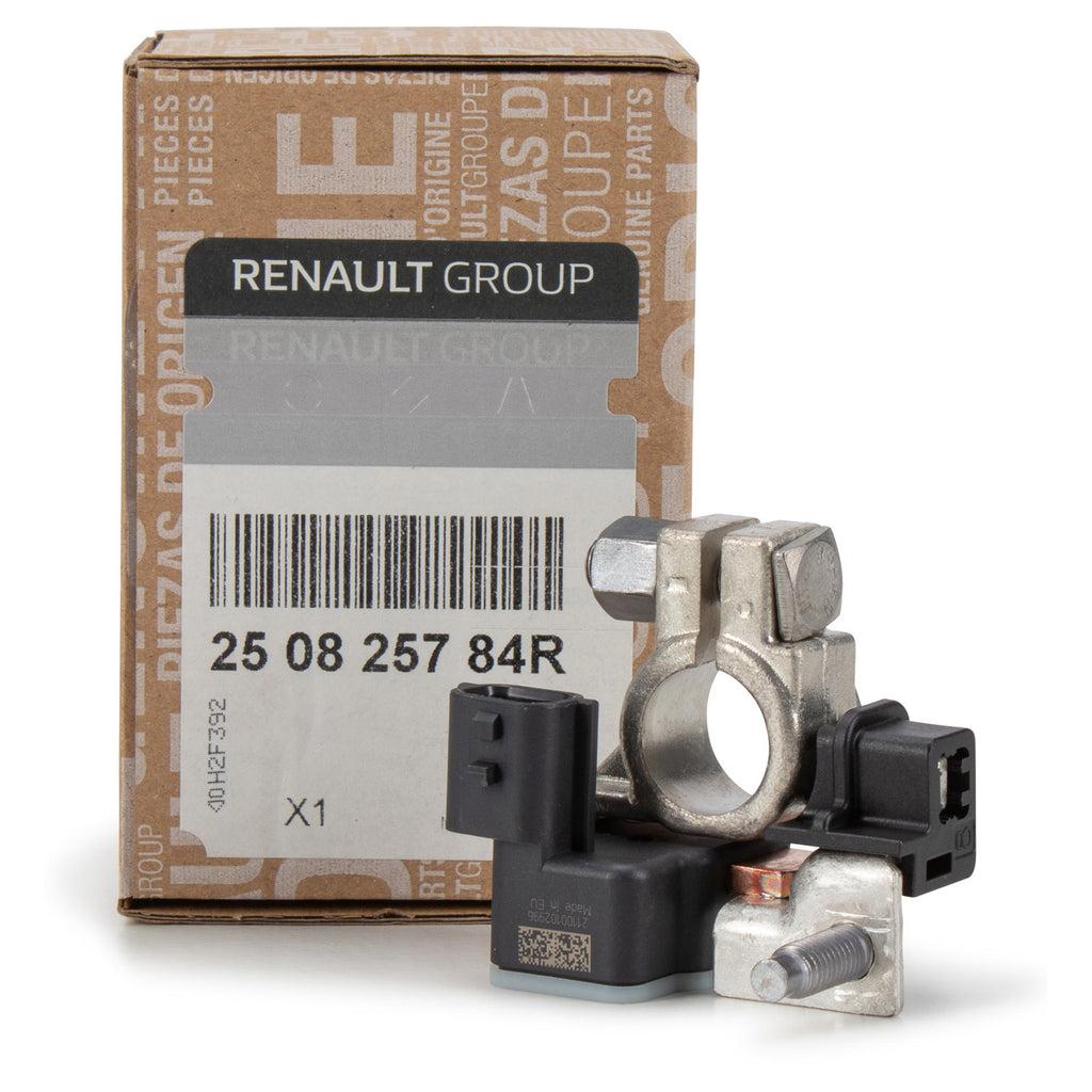 Megane 3 Captur Clio 4 Scenic Trafic3 Negative Battery Sensor 250825784R